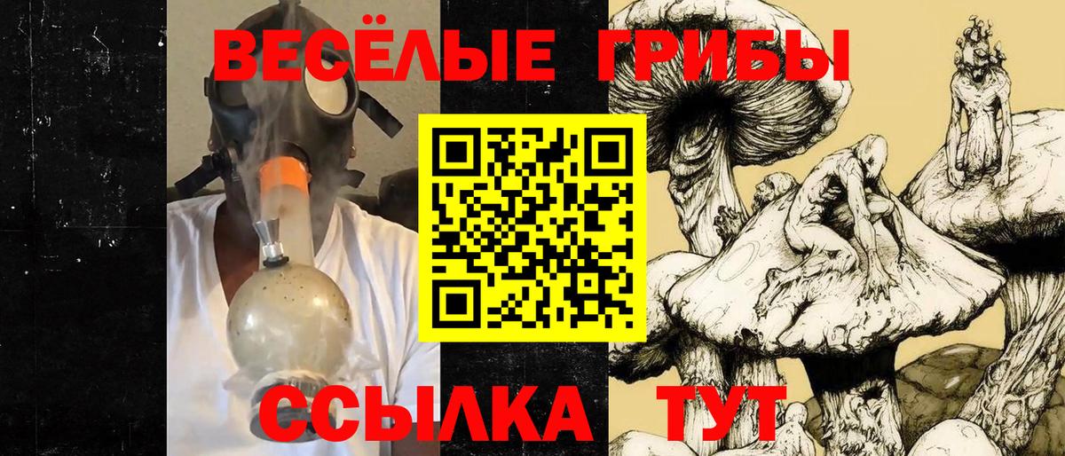 Псилоцибиновые грибы MAGIC MUSHROOMS  Вход с VPN  Саранск  Псилоцибиновые грибы MAGIC MUSHROOMS 