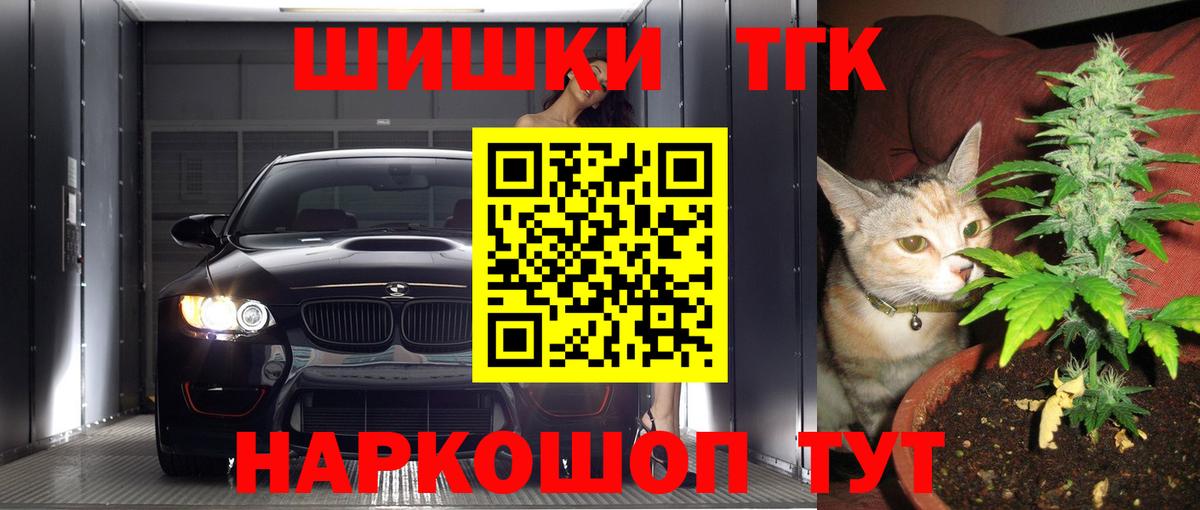 Бошки Шишки план Саранск